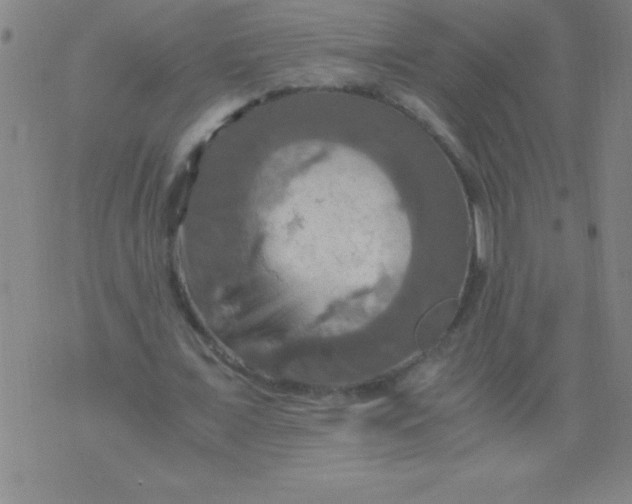 X0000075810675200610061732