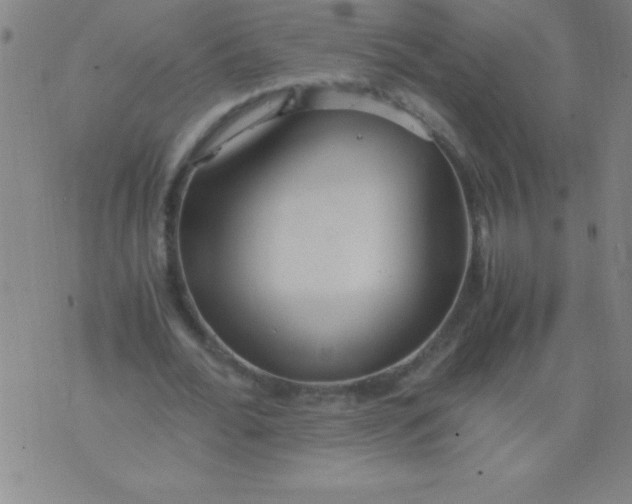 X0000075810676200610061732