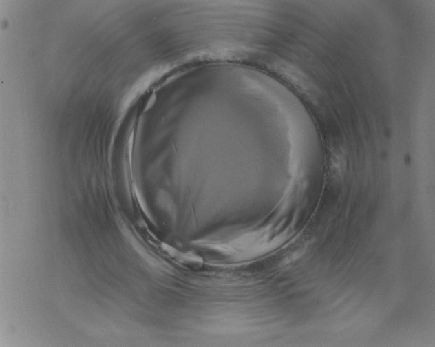 X0000075810678200610061732