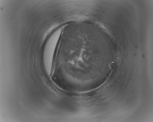 X0000075810679200610061732