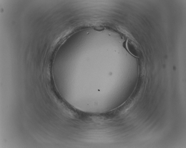 X0000075810681200610061732