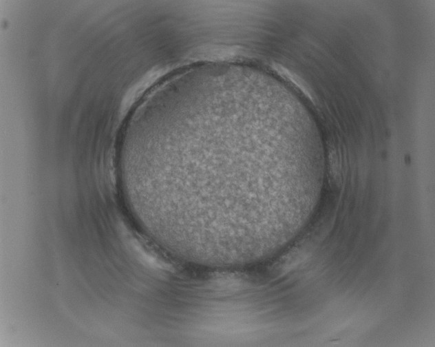 X0000075810682200610061732