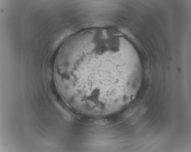 X0000075810683200610061732