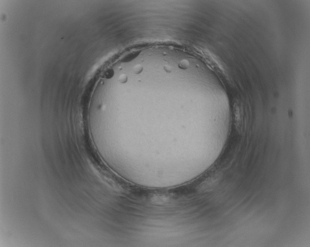 X0000075810684200610061732