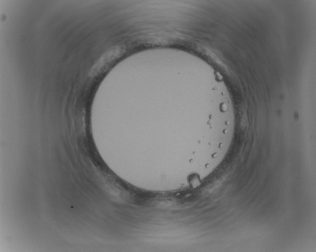 X0000075810685200610061732