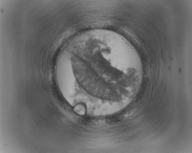 X0000075810687200610061732