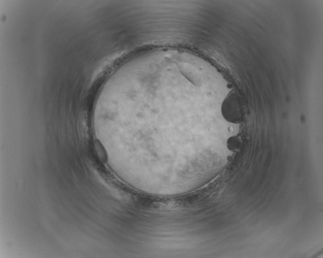 X0000075810688200610061732