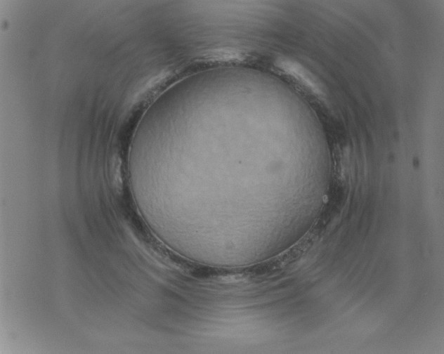 X0000075810692200610061732