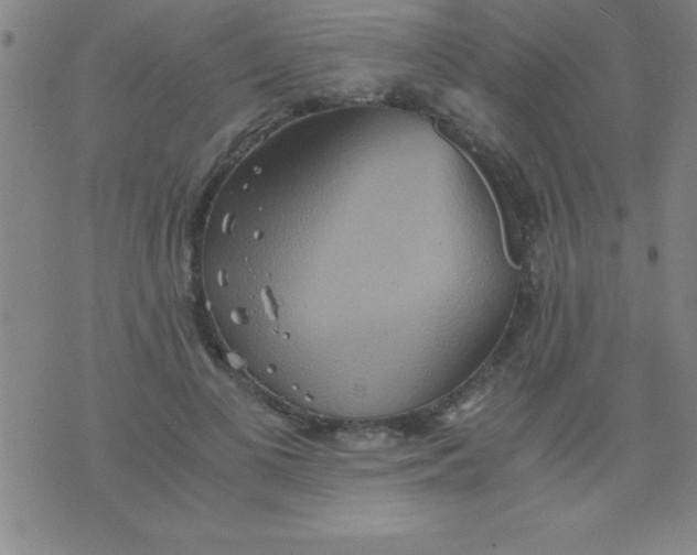 X0000075810693200610061732