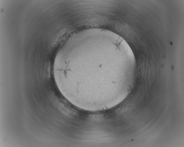 X0000075810694200610061732