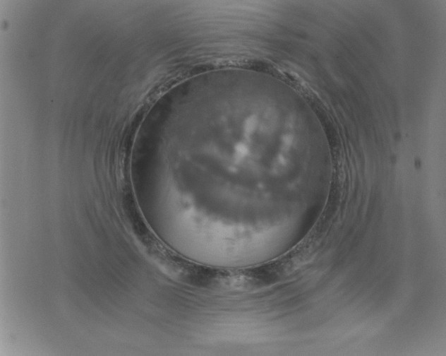 X0000075810695200610061732