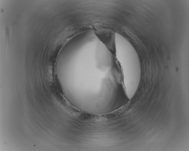 X0000075810696200610061732