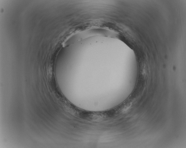 X0000075810697200610061732