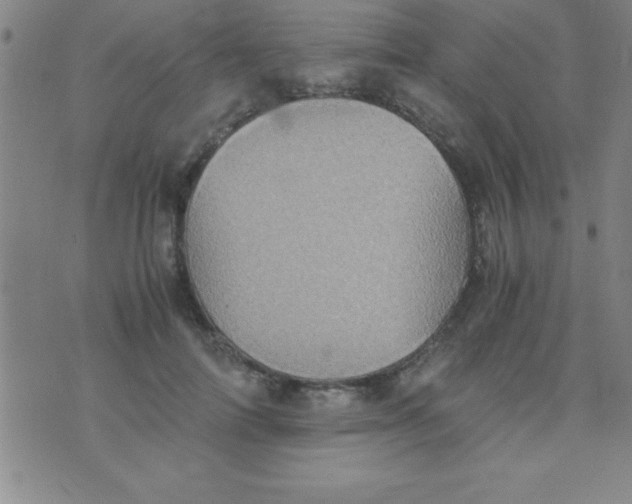 X0000075810698200610061732