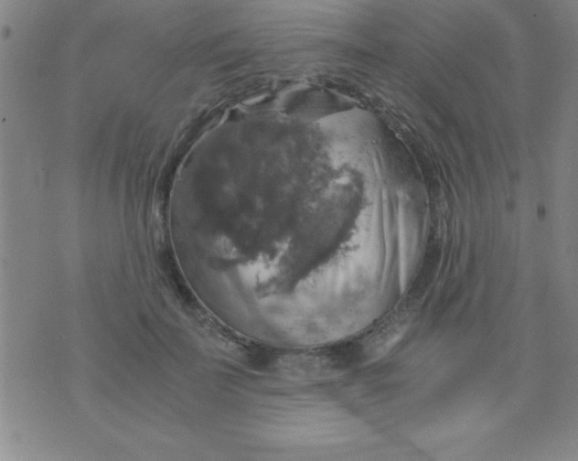 X0000075810699200610061732