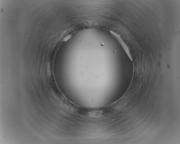 X0000075810700200610061732