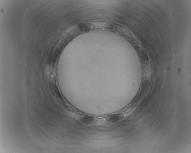 X0000075810701200610061732