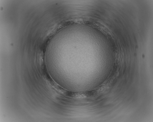 X0000075810702200610061732