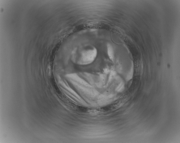 X0000075810703200610061732