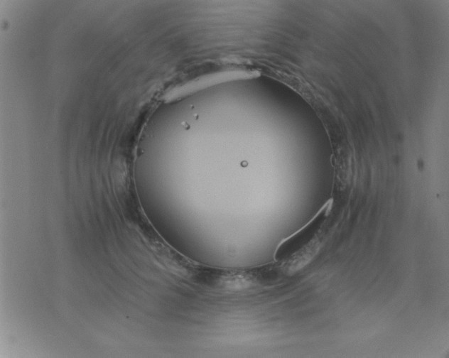 X0000075810704200610061732