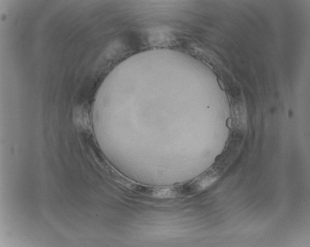 X0000075810705200610061732