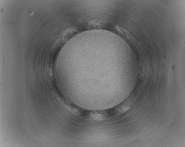 X0000075810706200610061732