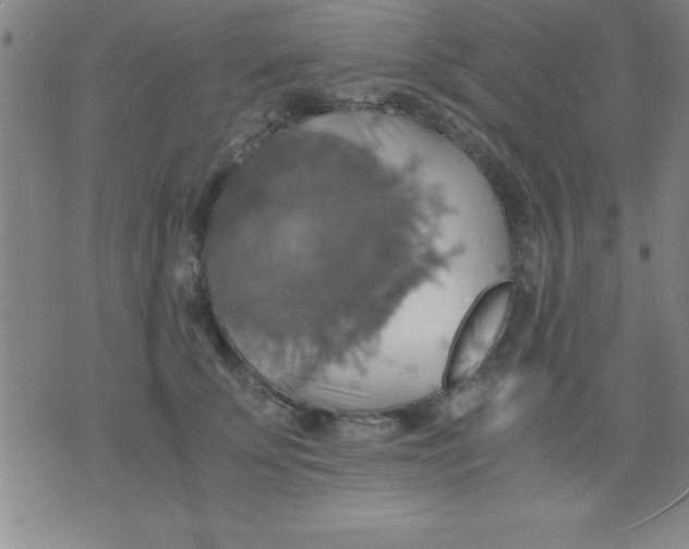 X0000075810707200610061732