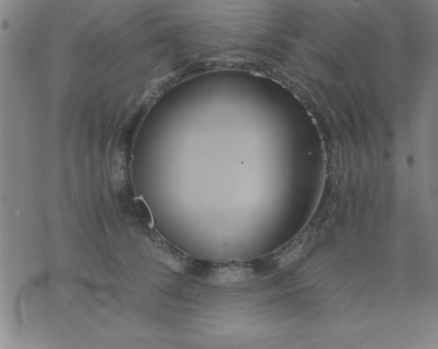 X0000075810708200610061732