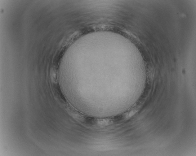 X0000075810709200610061732