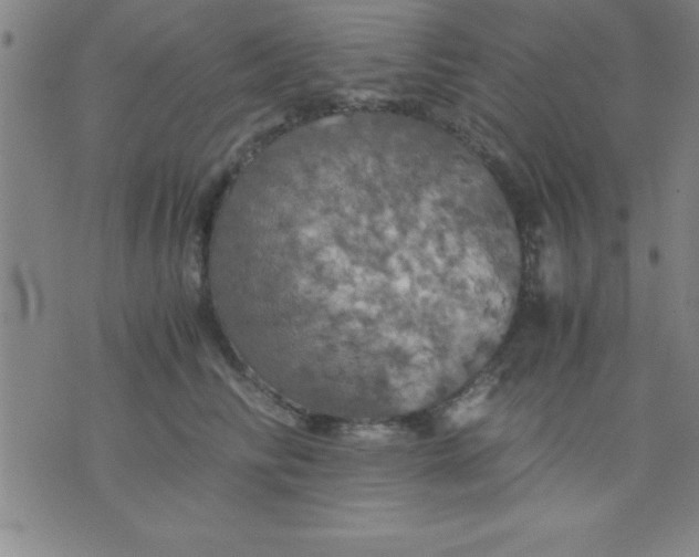 X0000075810710200610061732