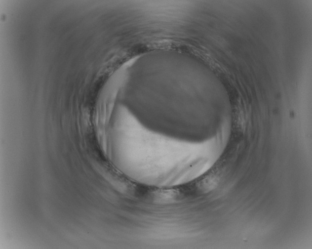 X0000075810711200610061732