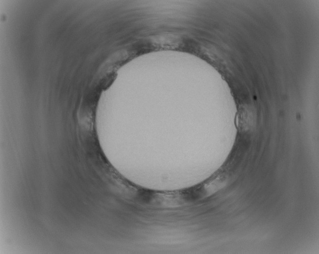 X0000075810713200610061732