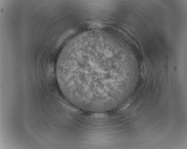 X0000075810714200610061732