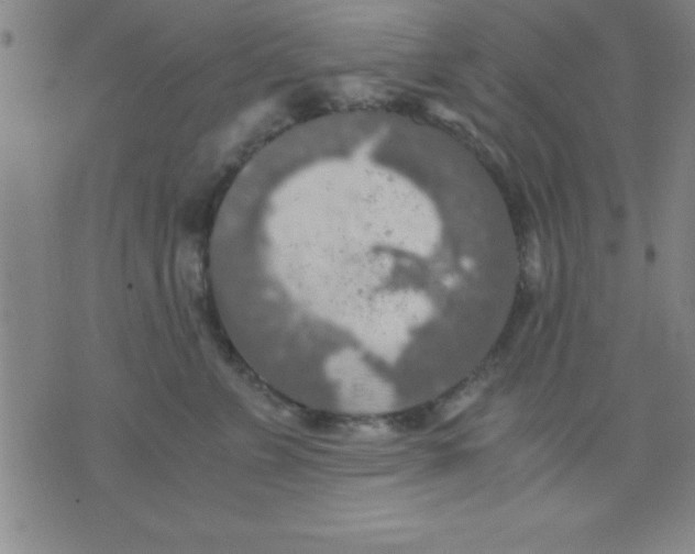 X0000075810715200610061732