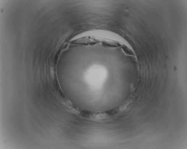 X0000075810716200610061732