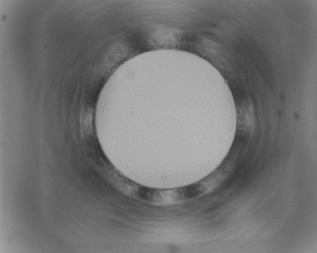 X0000075810717200610061732