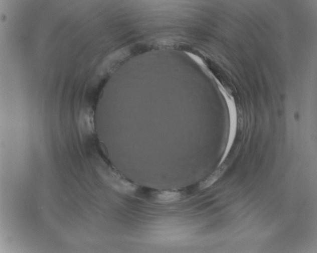 X0000075810718200610061732