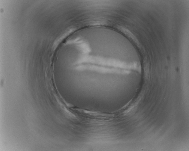 X0000075810721200610061731