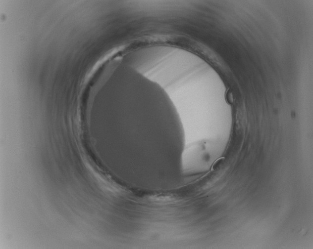 X0000075810722200610061731