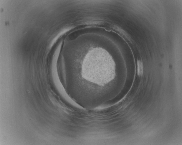 X0000075810723200610061731