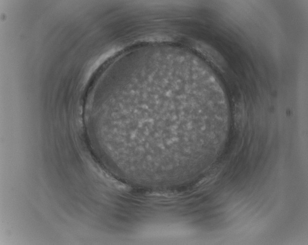 X0000075810727200610061731