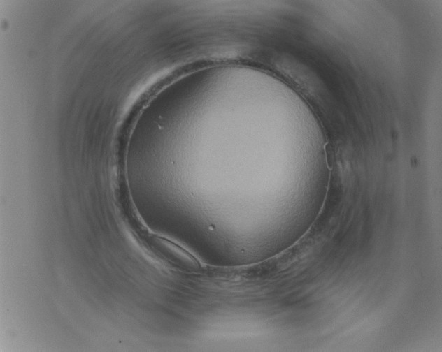 X0000075810728200610061731