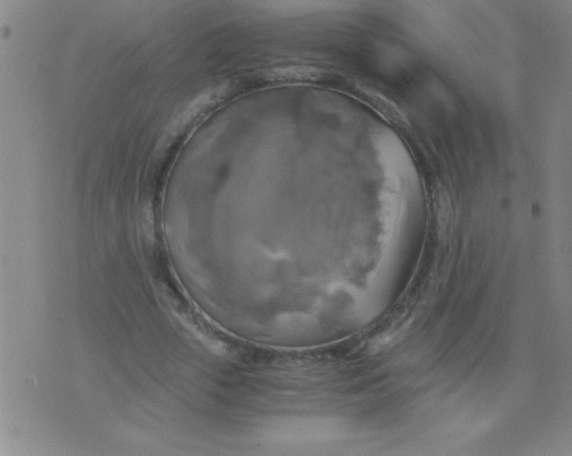 X0000075810729200610061731