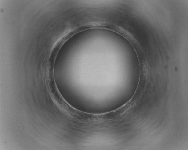 X0000075810730200610061731