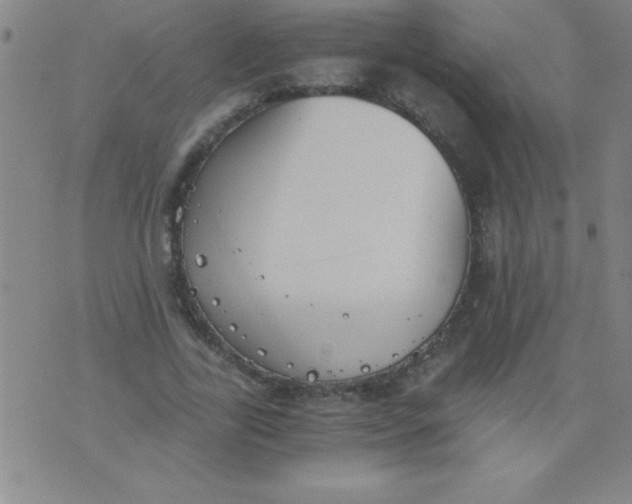 X0000075810731200610061731