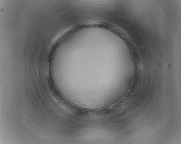 X0000075810732200610061731