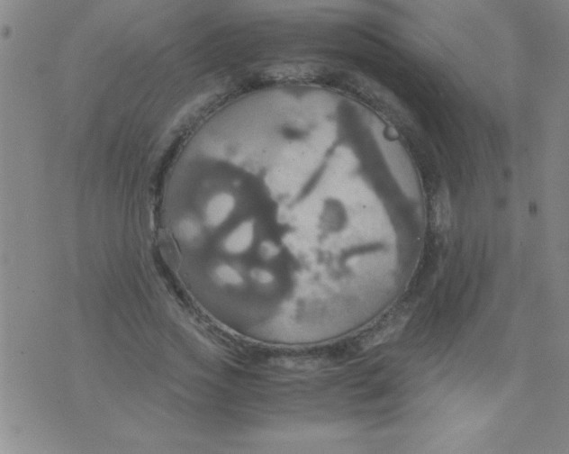 X0000075810733200610061731