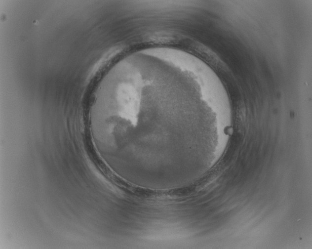 X0000075810734200610061731