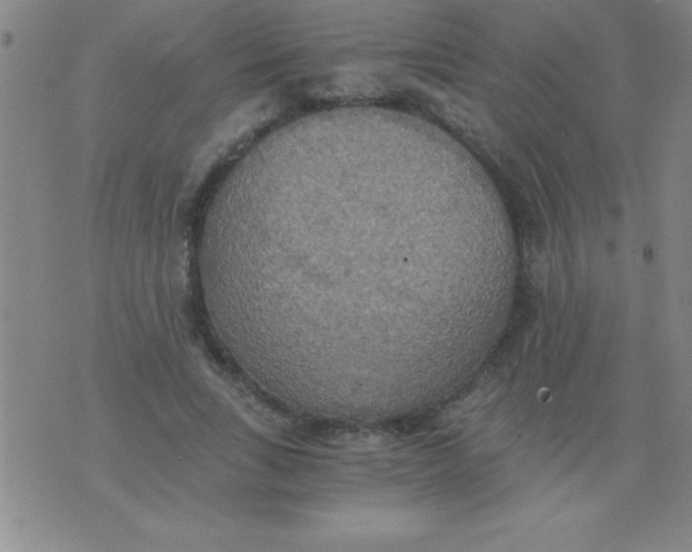 X0000075810735200610061731