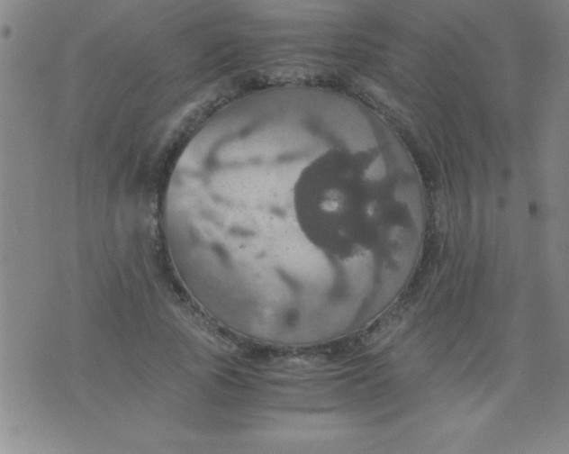 X0000075810737200610061731